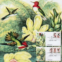 Ptaki Kolibry KMC Venture