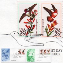Ptaki Kolibry Ryciny