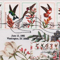 Ptaki Kolibry Kwiaty
