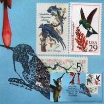 Ptaki Kolibry Srokale