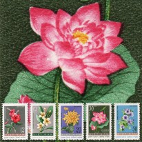 Kwiaty Lotos Wilec Plumeria