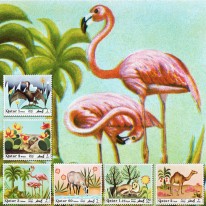 Kormoran Flaming Wielbłąd