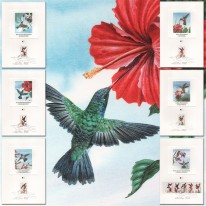 Ptaki Kolibry Proofcards