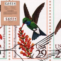 Ptaki Kolibry Souvenir Page