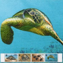 Żółw Jadalny WWF