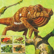 Żaby Kameleon Wąż Boa