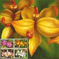 Orchidee Gatunki Zagrożone