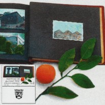 Album Zdjęć Osada Rechowot