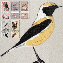 Ptaki Nektarnik Prinia Bilbil