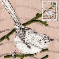 Ptak Prinia