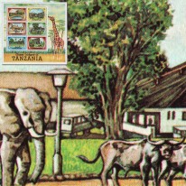 Myślistwo Safari Parki...