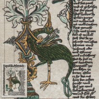 Księga Miejska Waidhofen