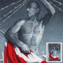 Wojownik o Wolność