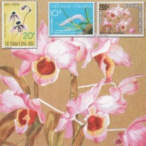 Kwiaty Orchidee