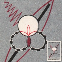 Festiwal Bawełny