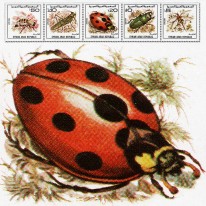 Insekty Pszczoła Szarańcza...