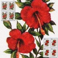 Kwiaty Hibiskus