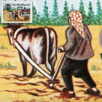Orka Pługiem i Traktorem