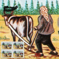 Orka Pługiem i Traktorem