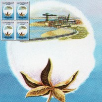 Bawełna i Wybrzeże