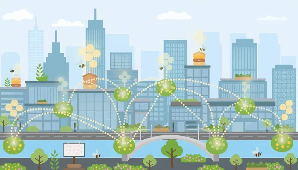 Pszczoły jako sieć sensoryczna miasta